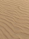 Natural golden sand background