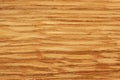 Natural golden wood texture background, copy space