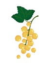 Natural gooseberry icon