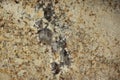 Natural granite of beige color with dark specks and streaks, is called Tenero Royalty Free Stock Photo