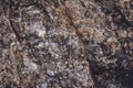 Natural granitic rock texture. Close up detail.