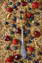 Natural granola with fruit