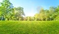 natural grass field background with blurred bokeh and sun rays Royalty Free Stock Photo