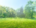 natural grass field background with blurred bokeh and sun rays Royalty Free Stock Photo