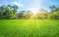 natural grass field background with blurred bokeh and sun rays Royalty Free Stock Photo