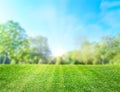 natural grass field background with blurred bokeh and sun rays Royalty Free Stock Photo