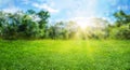 natural grass field background with blurred bokeh and sun rays