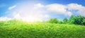 natural grass field background with blurred bokeh and sun rays Royalty Free Stock Photo