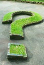 Natural grass question mark Royalty Free Stock Photo
