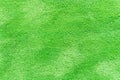Natural grass texture patterned background in golf course turf from top view. Royalty Free Stock Photo