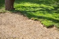 Natural Grass Turfs Creating Beautiful Lawn Field Royalty Free Stock Photo
