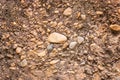 natural gravel in nature in a quarry close-up