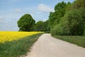 Natural gravel road