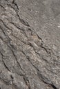 Natural gray and brown rock texture Royalty Free Stock Photo