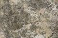 Natural gray granite stone texture background Royalty Free Stock Photo