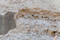 Natural gray stone and concrete texture for background and designers Royalty Free Stock Photo