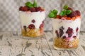 Natural Greek yogurt with fresh berries and muesli in a glass. Healthy food, healthy lifestyle