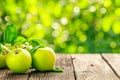 Natural green apples with leaves on empty wooden table for montage against blurred summer orchard background