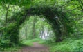 A natural green arch of a tangle of trees and other plants