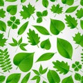Natural green beautiful leaves icon seamless fall pattern eps10 Royalty Free Stock Photo