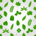 Natural green beautiful leaves icon seamless pattern eps10 Royalty Free Stock Photo