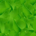 Natural green beautiful leaves seamless pattern eps10 Royalty Free Stock Photo