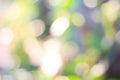 Natural green blured background Royalty Free Stock Photo