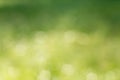 Natural green blurred background Royalty Free Stock Photo