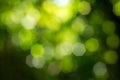 Natural green blurred background Royalty Free Stock Photo