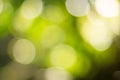Natural green blurred background Royalty Free Stock Photo