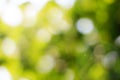 Natural green blurred and bokeh background,Abstract backgrounds. Royalty Free Stock Photo