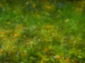 Natural green bokeh background Royalty Free Stock Photo