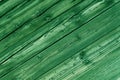 Natural green colored pine wood panels as background