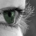 Natural Green Eye Royalty Free Stock Photo