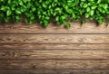 Natural green foliage leafy border against an old wooden surface