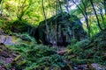 Moss covered rocks and small stream in forest Royalty Free Stock Photo