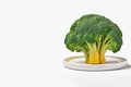 Natural green fresh broccoli in plate on a white background, Generative AI, generative artificial intelligence Royalty Free Stock Photo