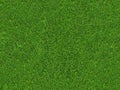 Verde hierba 