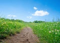 Natural green grass field with dirt road pathway Royalty Free Stock Photo