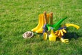 Natural green grass lawn. Garden tools on the green grass. Garden works background Royalty Free Stock Photo