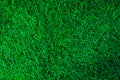 Natural Green grass texture with water droplets. Perfect Golf or football field background. Top view Royalty Free Stock Photo