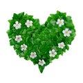 Natural green heart pattern made of ivy leaves and white flowers. Flat lay Royalty Free Stock Photo