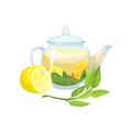 Natural green herbal tea in a glass transparent teapot with fresh lemon vector Illustration