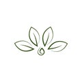 Natural green leaf logo design vector on white background Royalty Free Stock Photo