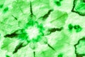 Natural Green Leafy Liquid Color Design. Spring Royalty Free Stock Photo
