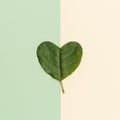 Natural green leaves in heart shape design Flat lay ecology friendly minimal concept