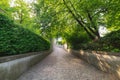 Natural Green Trees and Walkway in Public Park, Beautiful Perspective View of Outdoor Garden Tree Plant in Zurich City Parkland, S