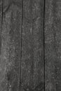 Natural grey old wood plank texture as background