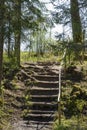 Natural ground stair