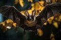 Natural habitat hosts rare bat species connected to emerging viruses